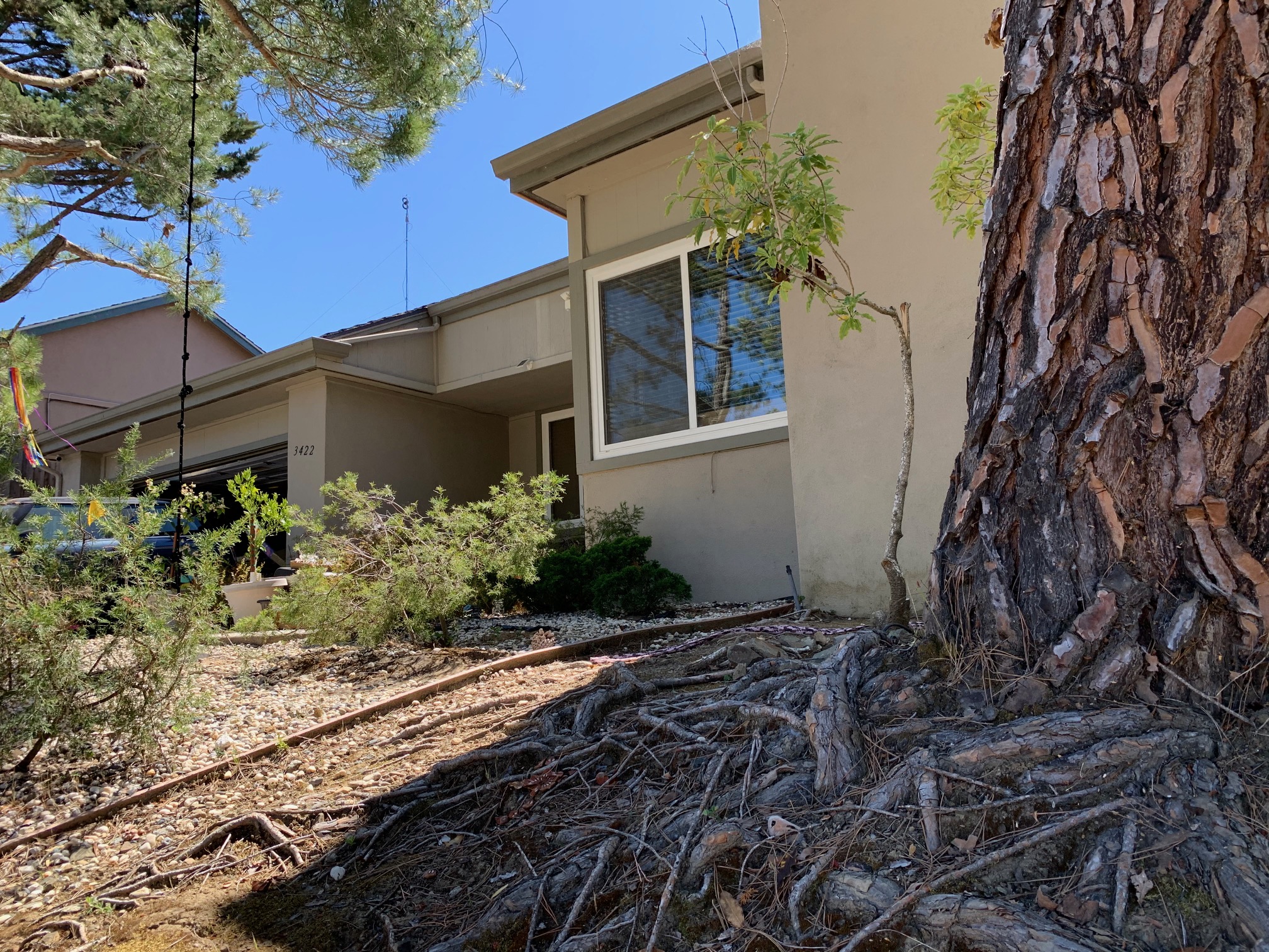 a house with a pine tree in front of it